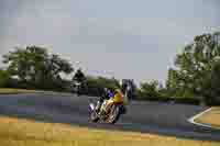 Evening Low_Mid Group Yellow Bikes